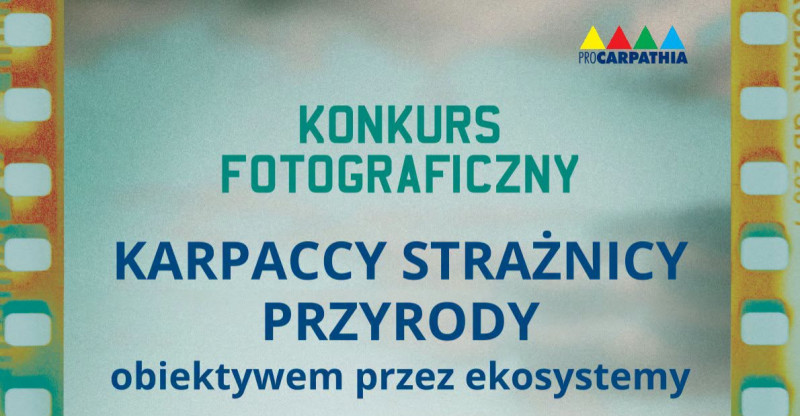 Miniatura artykułu: 5257