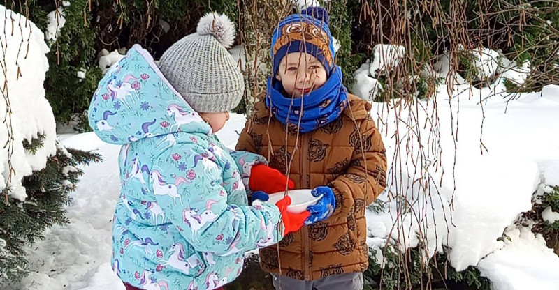 Miniatura artykułu: 4623