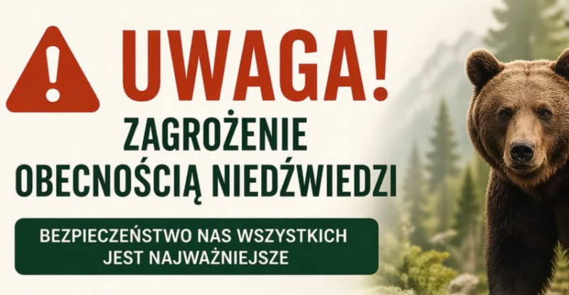 Miniatura artykułu: 4900